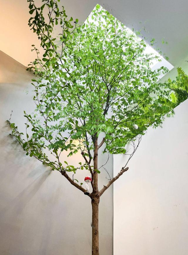 小复式翻新,不搞花里胡哨的“面子设计”,舒适大方才是装修关键