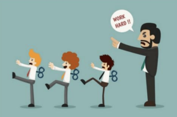 |职场上的一切都在被分配