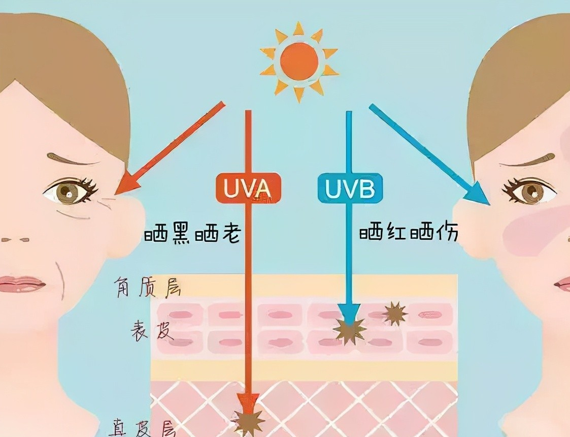 发型 秋冬是女人美白的好时机，从这5个地方下功夫，去除暗黄显气色