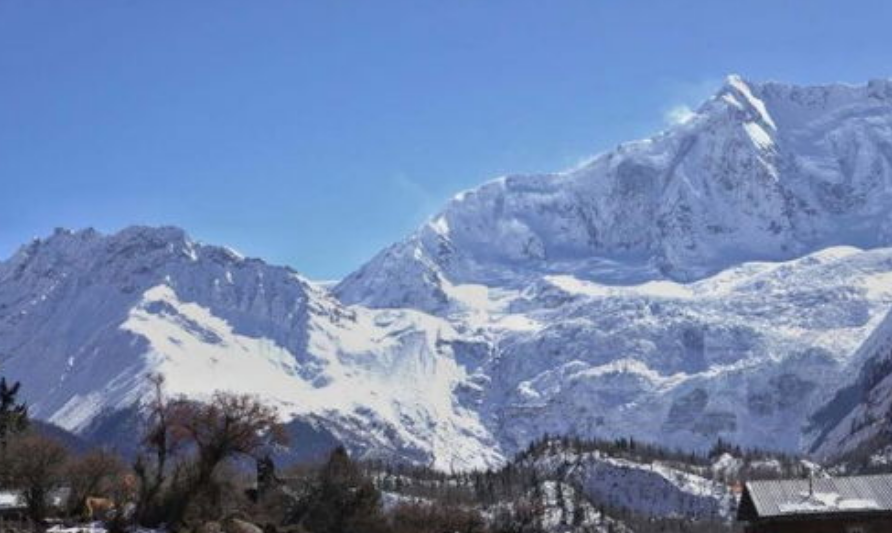 茶园|西藏有多么美? 看看西藏这个地方，你就知道了！