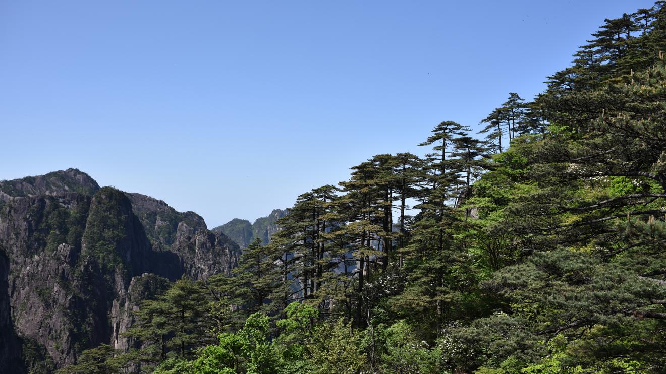 荷花|中国十大风景名胜景区之一，中国十大“奇山”之一，你还在等什么