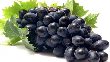 肾病|9种可以减少慢性炎症的食物 你经常吃吗?快发给家人看看!