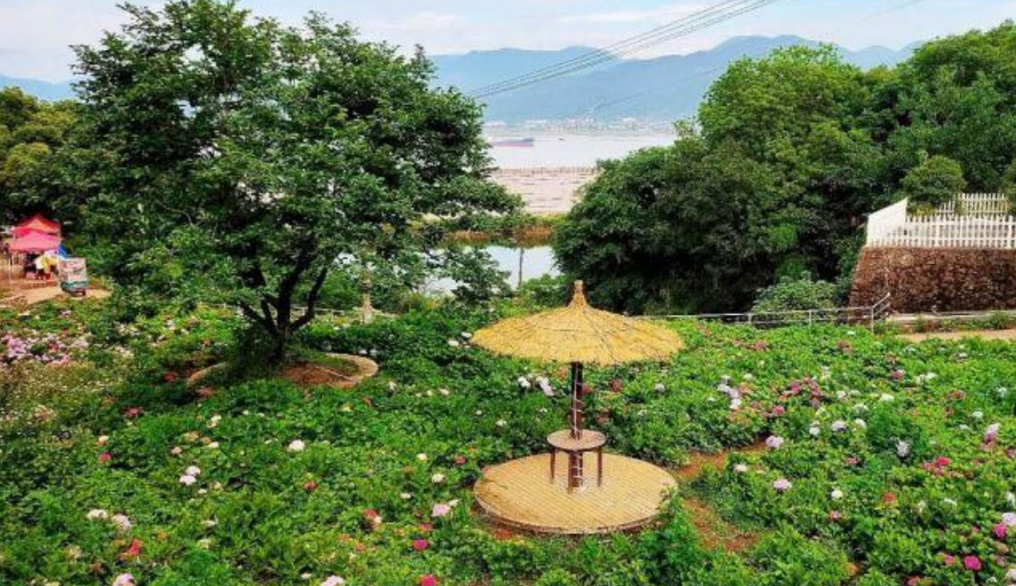 绣球花|浙江宁波骆家坑村，风景美如画，没去过的一定要去！