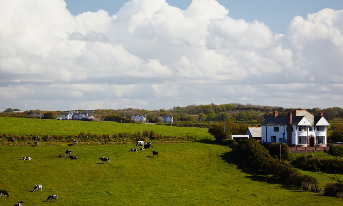 田园风光|爱尔兰是北大西洋上的一个岛国，在那里迷人的田园风光，让我陶醉
