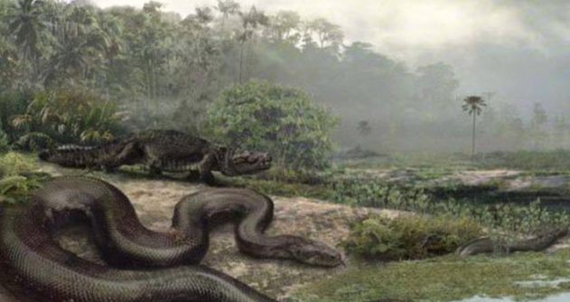 地球上最大蛇类排行：第二名蛇吞象，第一大到难以想象！