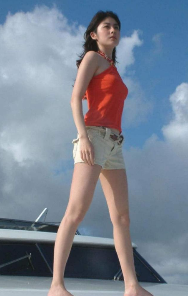 孙俪|陈慧琳就从来没有大红大紫过,也没能成为超级明星,陈慧琳是什么级别的明星?