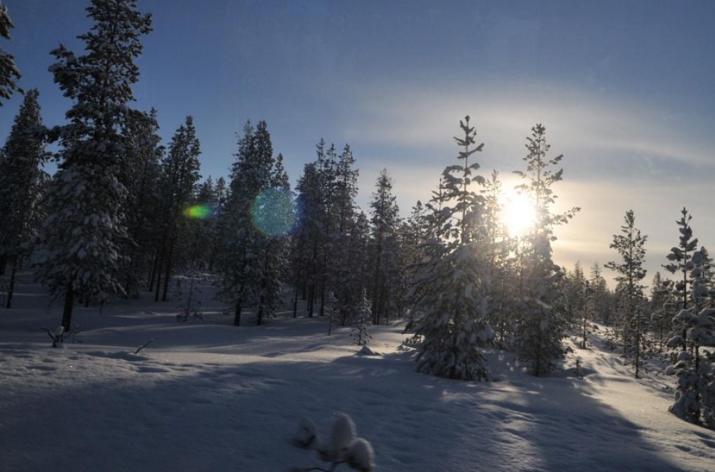 敦煌|芬兰的森林与湖泊,不属于国家而属于人民,不像是国内的热门景点