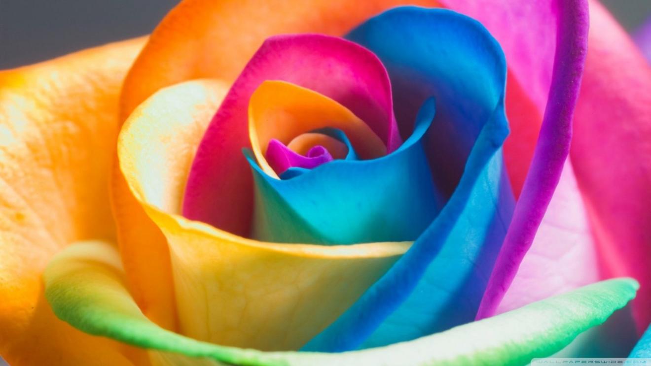 |人生就像一场游戏，没有一个人可以一直活的顺风顺水