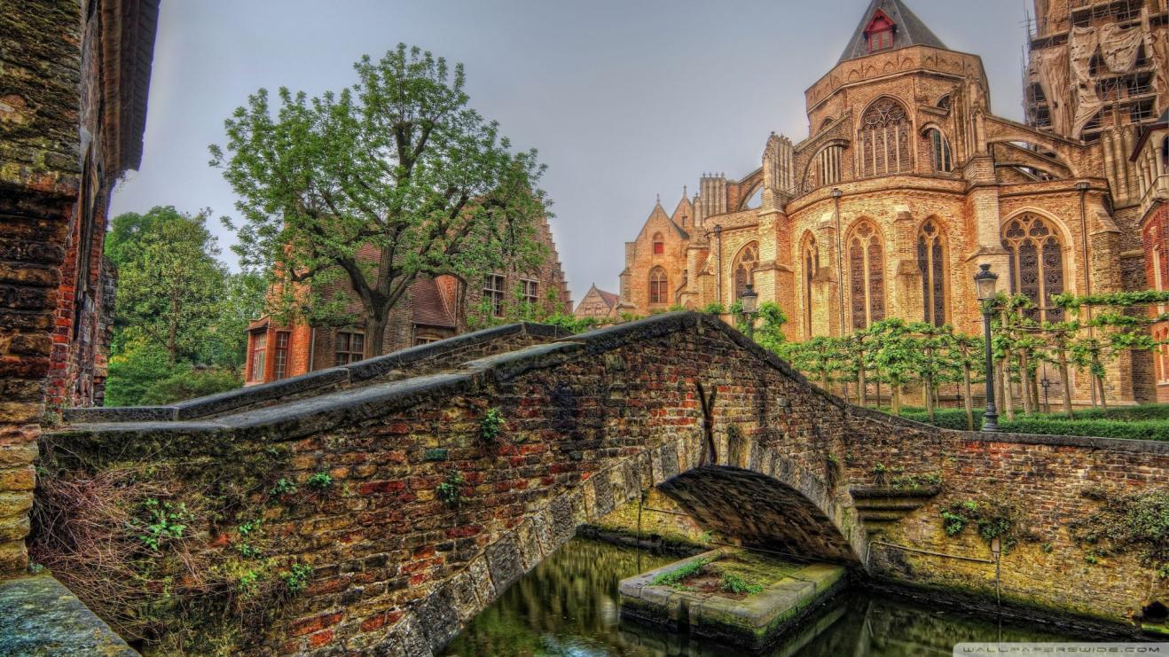 |职场上，选择适合自己的，才有成功的可能才有成功的可能