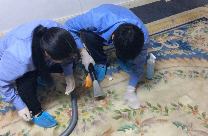 家中的地毯应该如何维护?