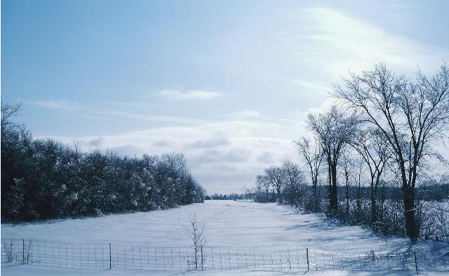 三伏|阳气不足的人或许有几个信号,冬天多吃它,“阳强则寿”肾气充足