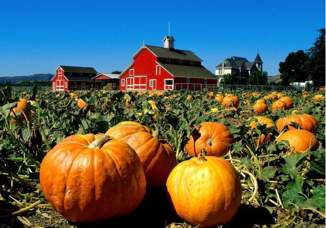 胃病|胃不好的人,谨记“2吃,2不吃”,养胃护胃,胃病悄悄没了