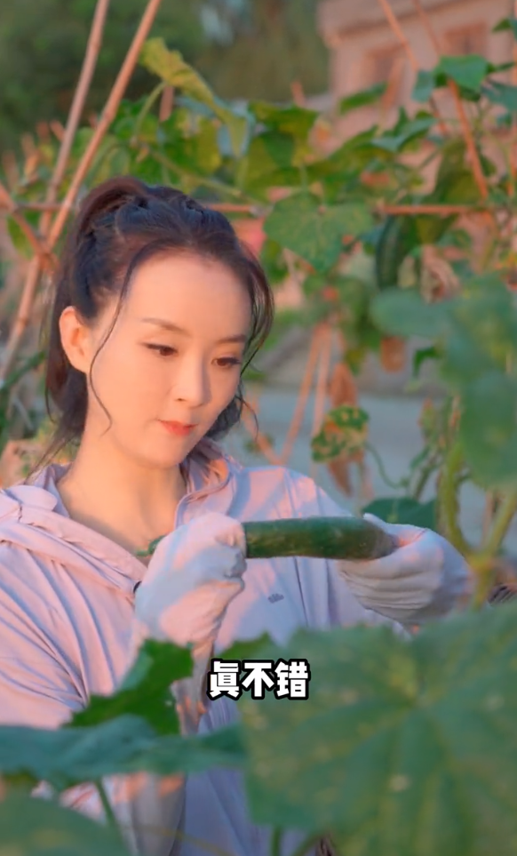 王艳|48岁王艳种菜惹争议，戴手套摘豆角妆容精致，嫁豪门老公生活滋润