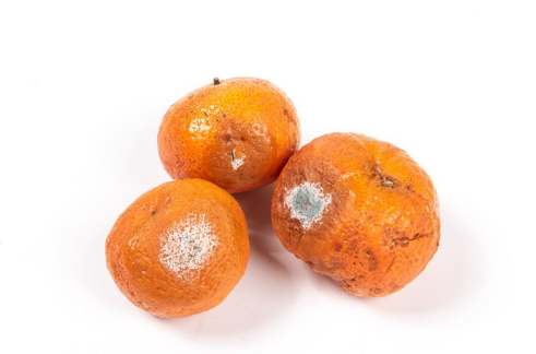 水果|提醒父母:2种水果,或是肝硬化的“罪魁祸首”,家里若有,尽早扔