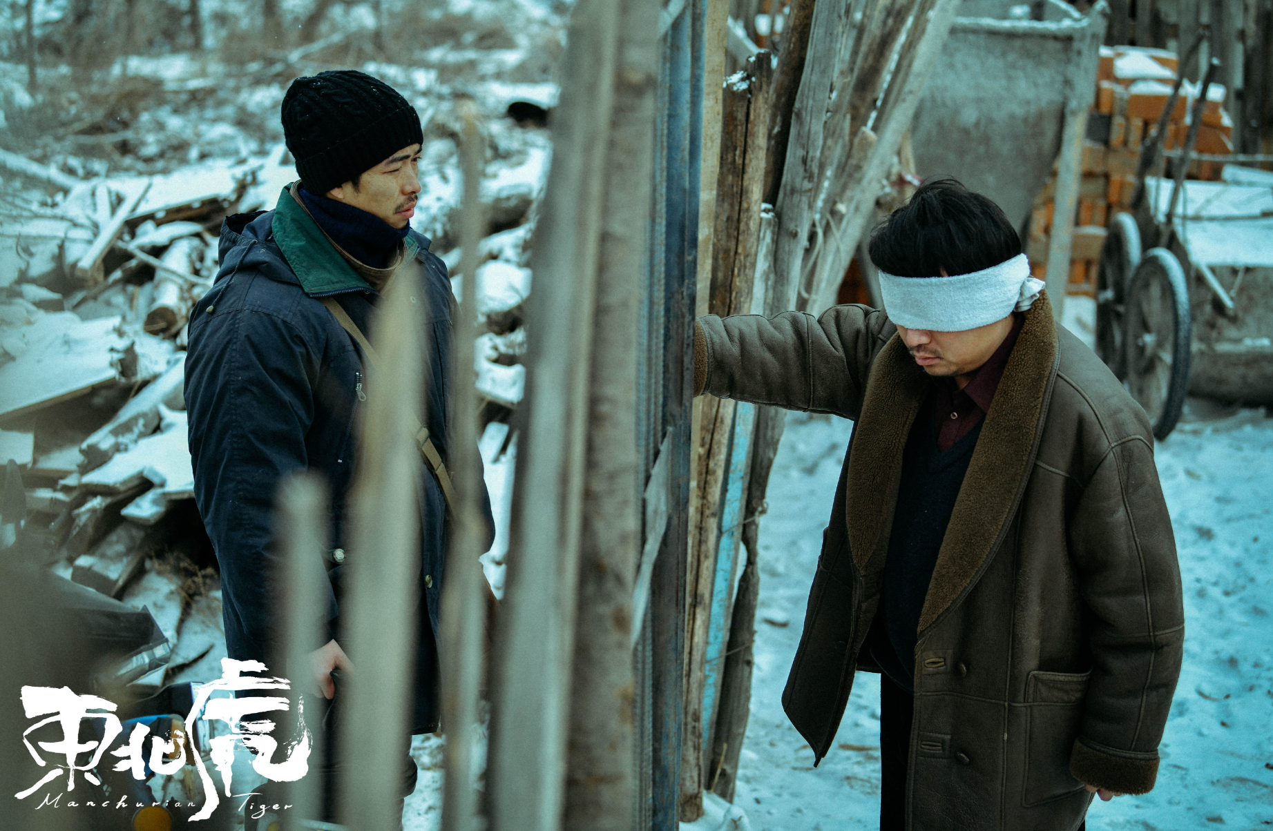 赵文卓|2022年开年5部大片，耗资9.5亿的北美冠军空降，吴京对上黑客帝国