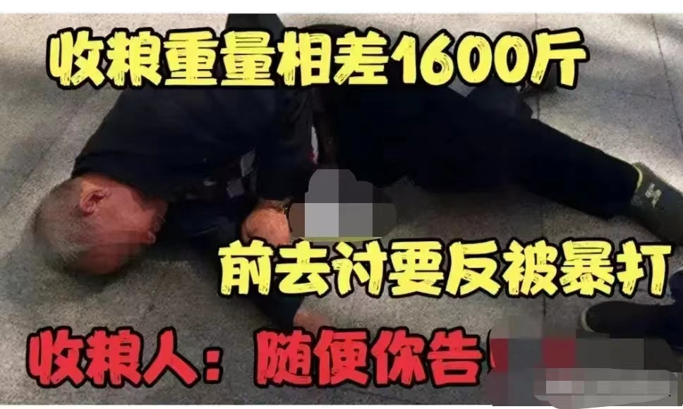 老汉卖粮单据与实际重量相差1600斤,上门讨要说法反被打,收粮人:随便你告