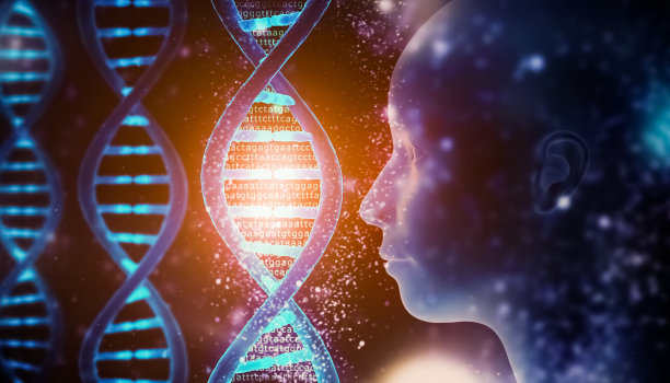 生物最大的特点就是不断重复