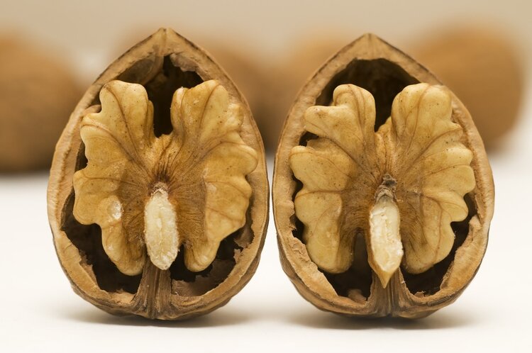 大脑|核桃被称为“血管清道夫”?为何有人说吃核桃不好?很多人吃错了