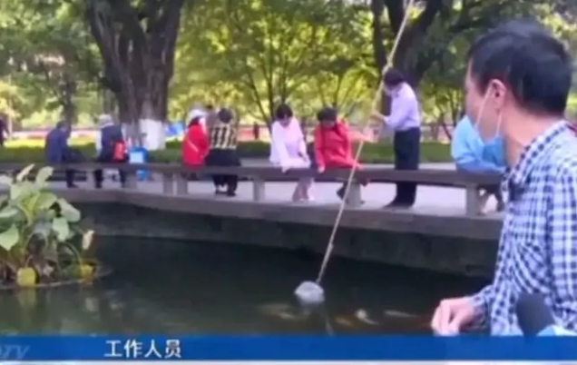 “人怕出名鱼怕壮”,一条鱼牵动一座城,重庆40斤网红鱼被偷盗!