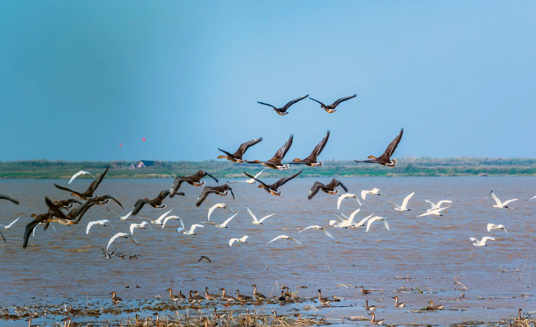 丽江|假日没什么地方游玩的话,就来南昌看一看吧,这里的景色非常优美。