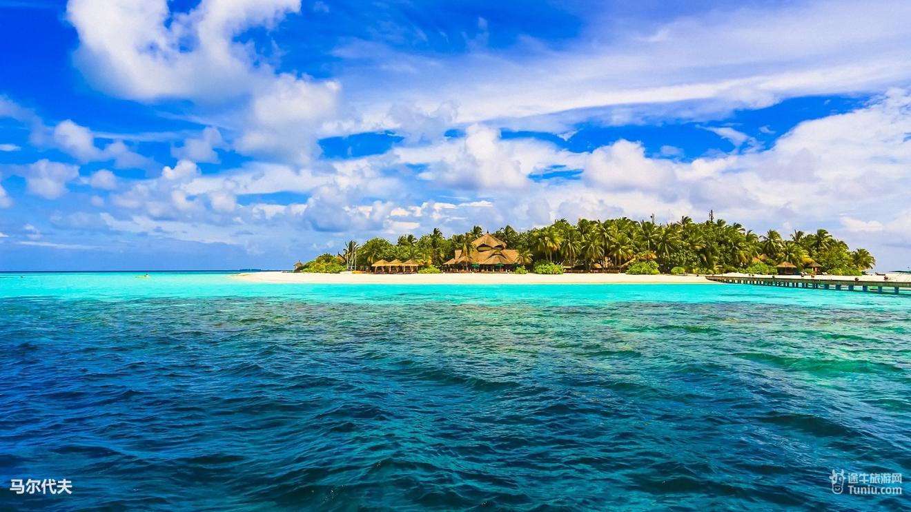 运势|运势逆转，财运大旺，步步高升的3属相