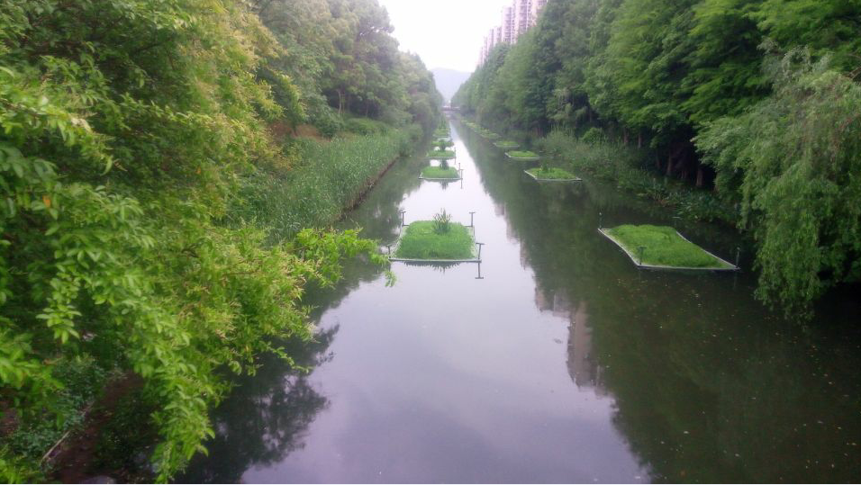 办公室|万物皆风水——闲人闲话(4)