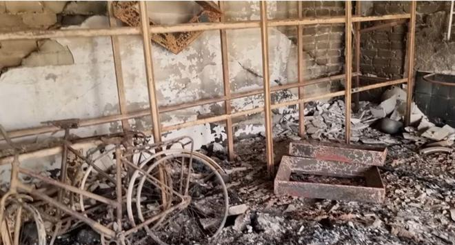 人类植物灾难！乌克兰哈尔科夫植物遗传资源库在战火中被毁