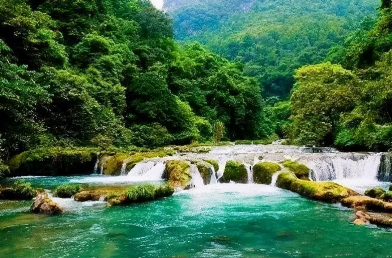 荷花|惠州藏着一片绝美的世外桃源,梦中的度假胜地,连明星都爱不释手