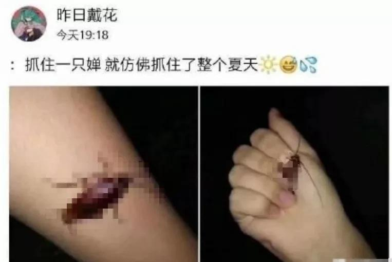 笑翻!广州又一大楼酷似蟑螂,吓坏北方网友:这得要多大的拖鞋
