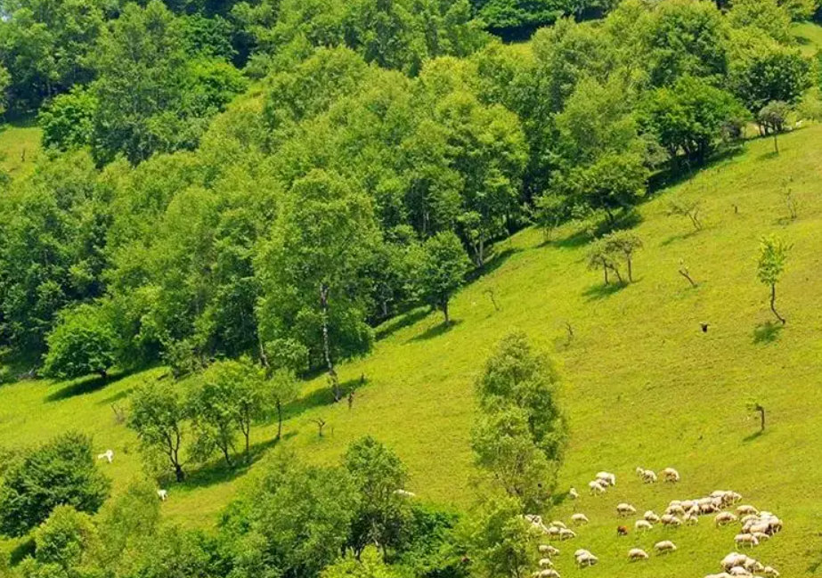 九寨沟|宝鸡的这些旅游景点很值得来体验一下，快来看看你有没有去过吧！