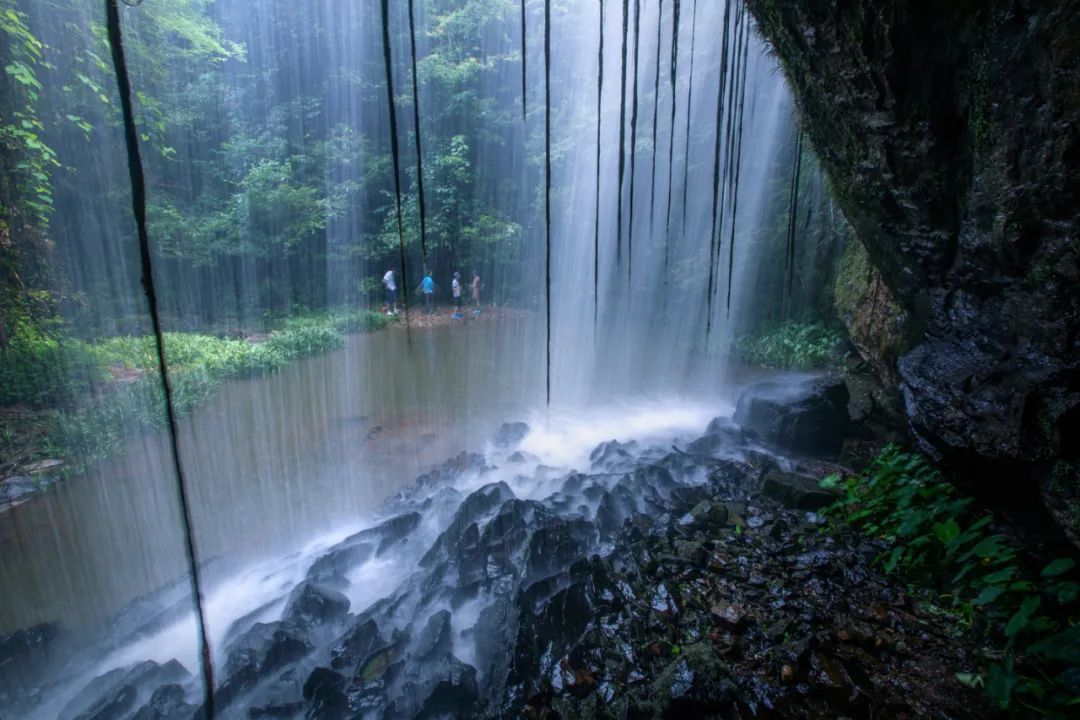 |一叶知秋，密林寻瀑，深山里的山水秘境