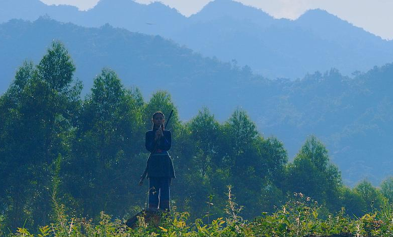 蚁人3|《林深时见麓》票房“冷”上热搜,首映仅2名观众贡献56元