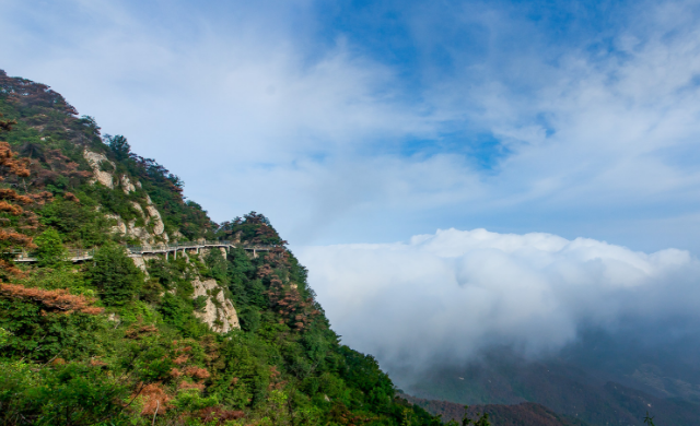 西藏|走进沂蒙山的一年四季,各种的颜色让你看不腻,你是否已经心动