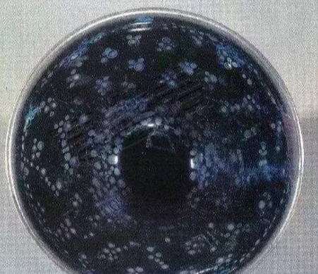 建盏|建盏的七大奇迹