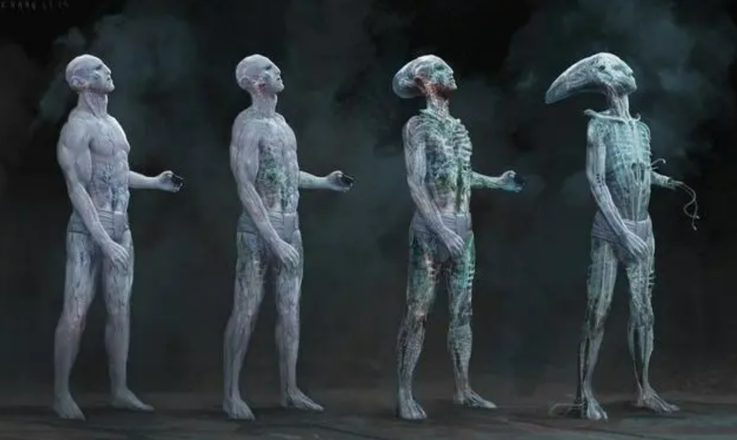 宇宙最完美的外星生物:“异形”究竟是什么?