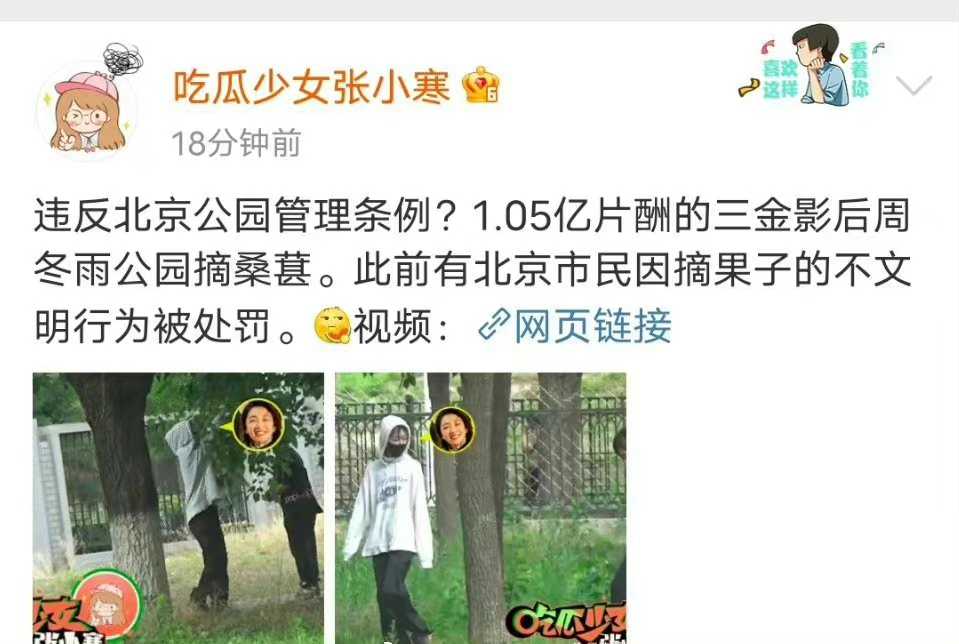 周冬雨|周冬雨公园摘桑葚，全副武装，看似低调