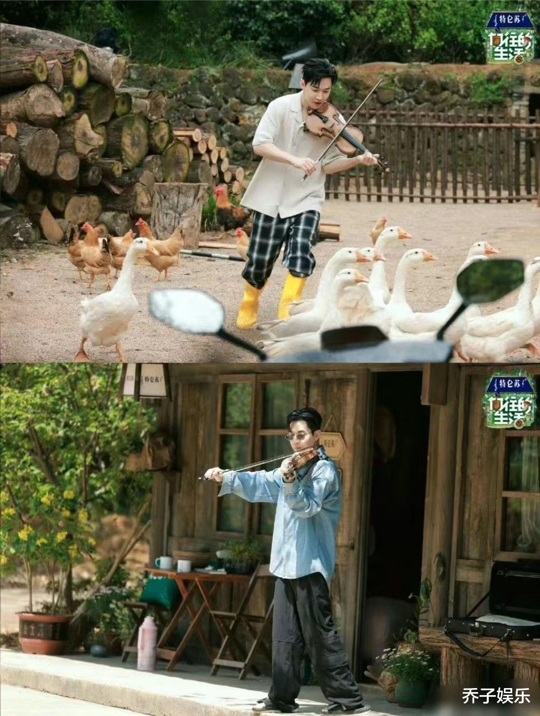 刘宪华|向往的生活:没想到能撑起一整期节目的是,刘宪华的“尴尬笑点”