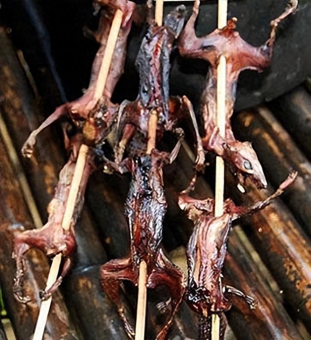 |躲过了中国人的筷子,却被越南人当做美食?越南人为啥爱吃鼠肉?