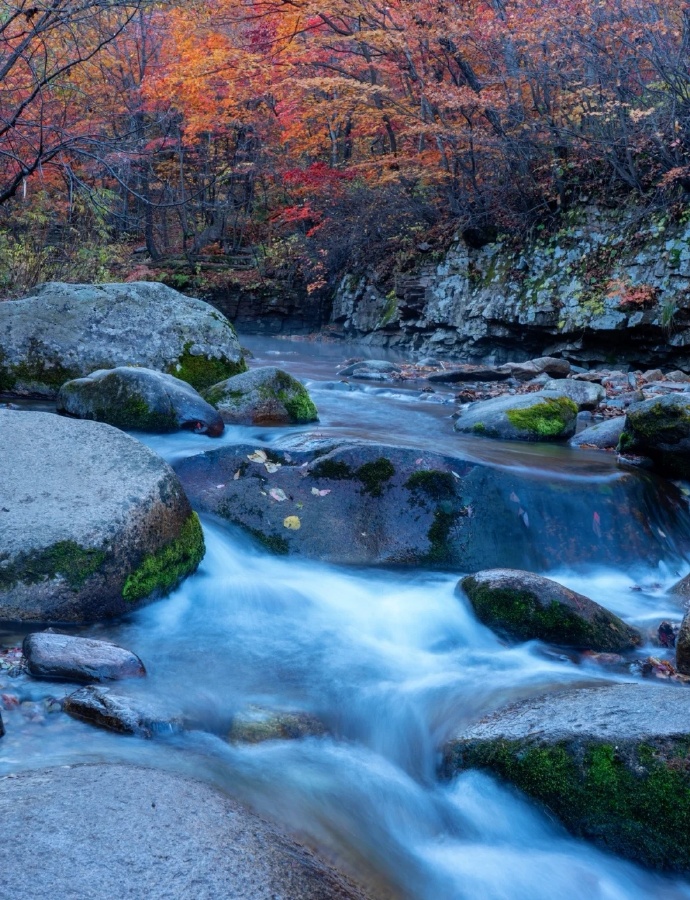 全职妈妈|生完孩子后，你愿意做全职妈妈还是回归职场？