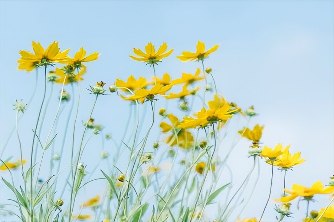退休|退休以后,不要请以下几种人吃饭,请了,烦恼也就来了