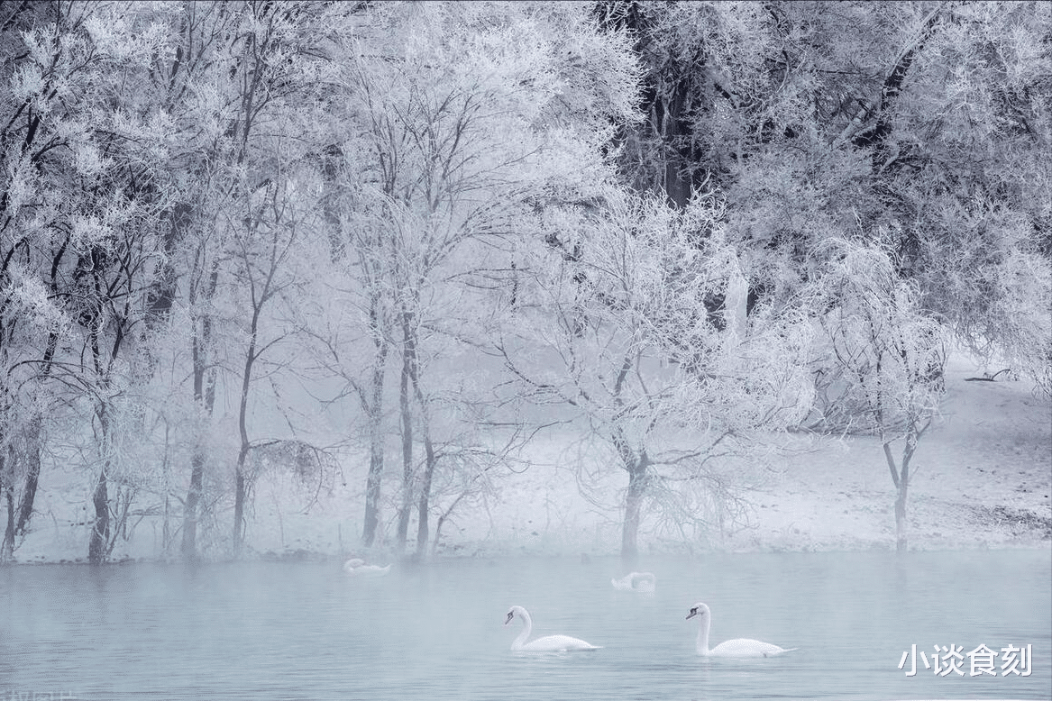 |“大雪现三象,坟头遍地起”,明日大雪,哪3象?遇见要早做准备