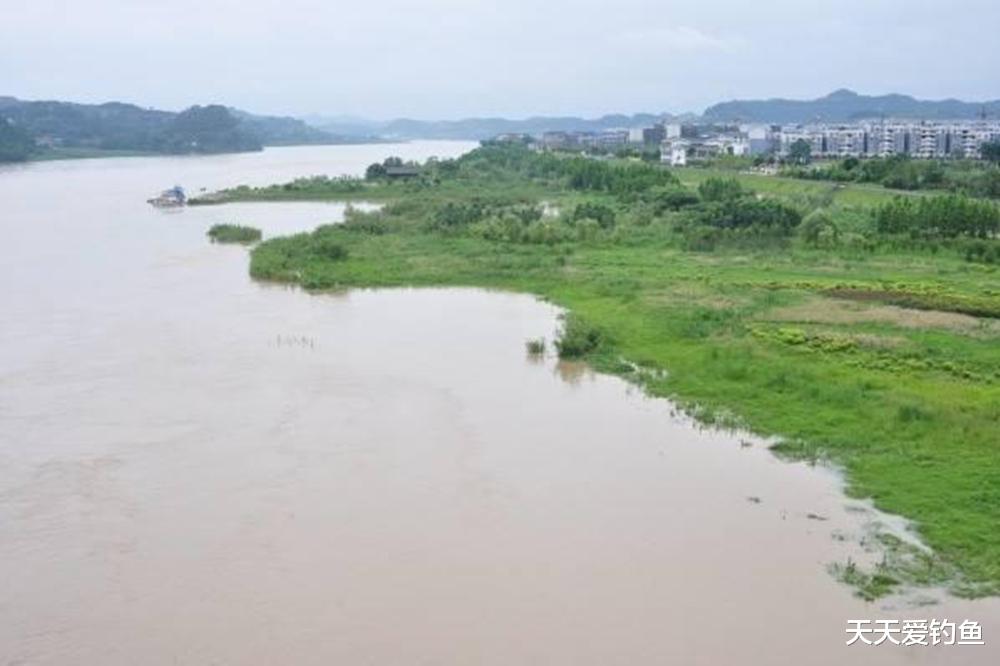 夏季一定钓深水?这些地形只需钓浅,大鱼比深水还要多
