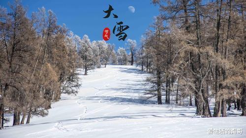 食材|明天大雪，老传统：吃2菜，2肉，2汤，忌2事，顺应时节，健康过冬