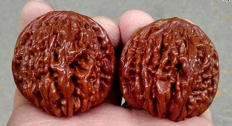 如何把玩出一对晶莹剔透的文玩核桃？