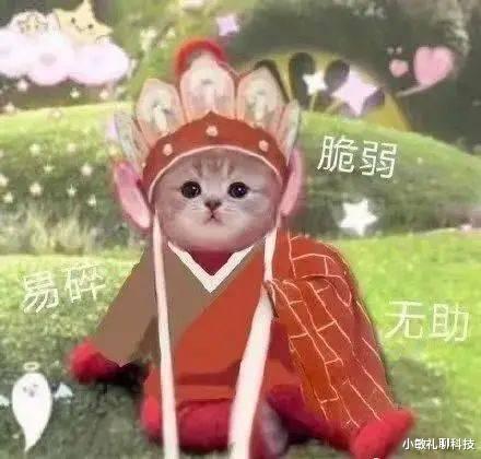 |51岁刀郎消失许久美娇妻陪同罕现身,模样变化大撞脸徐峥范伟,曾被圈内人封杀