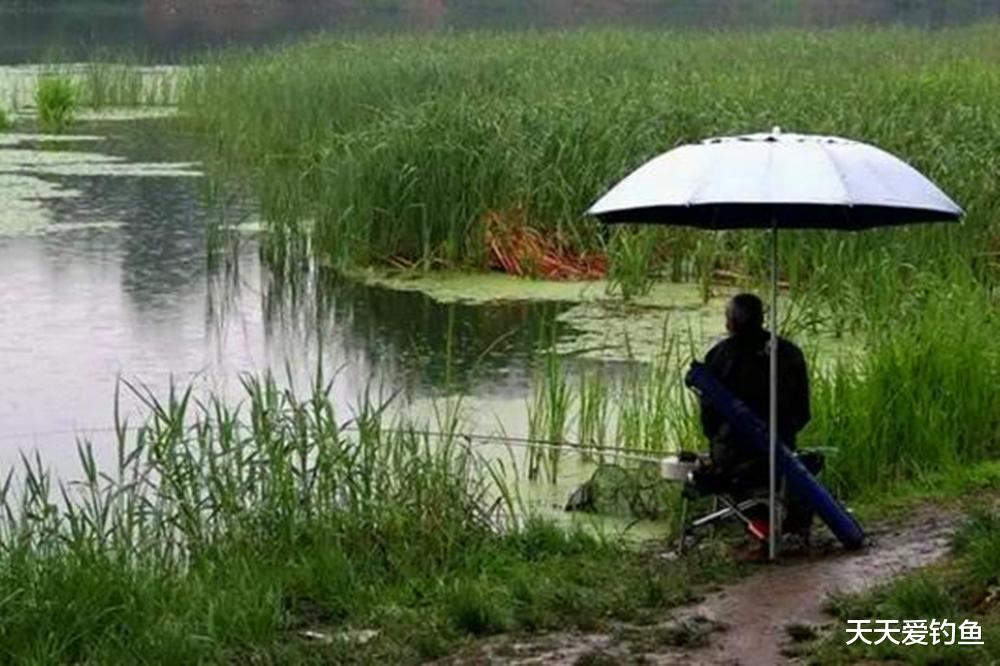 夏季钓鱼，记住6大“禁忌”，谁踩谁“空军”