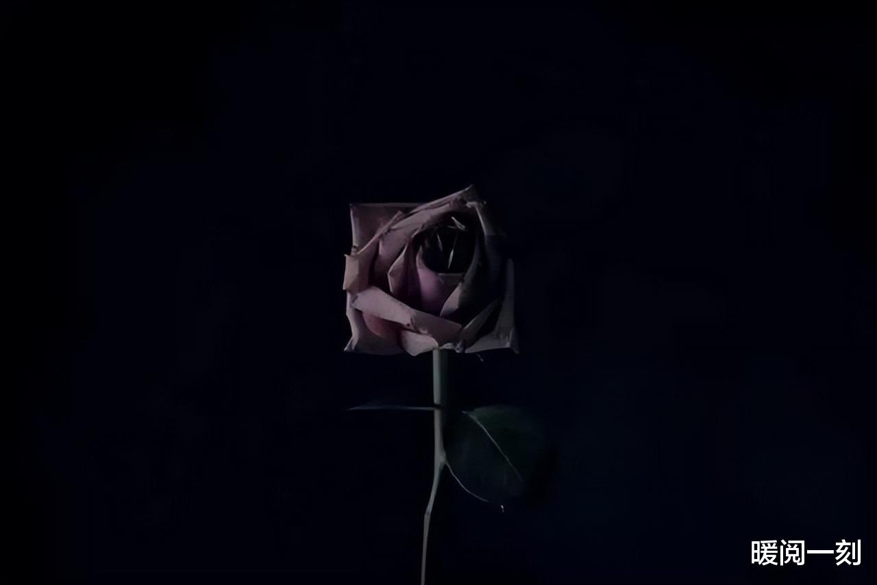 胡鑫宇|外套反穿，是胡鑫宇最后的爱与体面