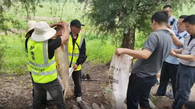 |武汉“钓鱼胜地”被人盯上，两男子锚鱼60多公斤，管理部门：抓！