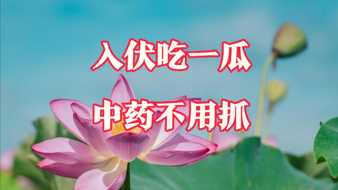 美食教程|“入伏吃一瓜，中药不用抓”，一瓜指啥？清肺热去心烦，别不懂吃