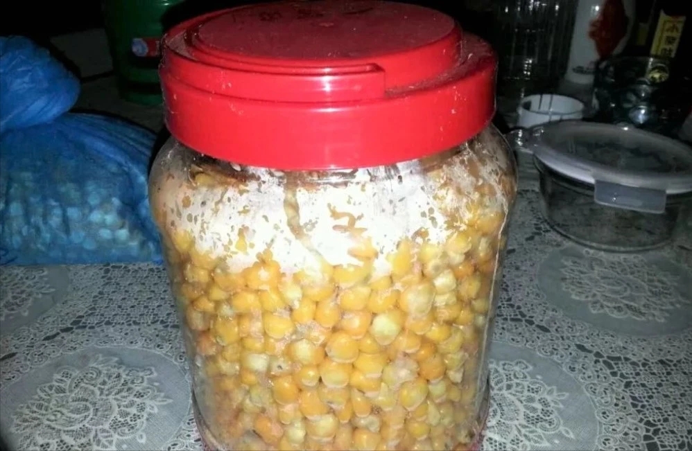 别再傻傻地用生玉米钓鱼了!这样加工一下,效果倍增